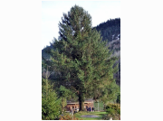 2016-11-20 16.58.25.JPG