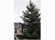 2016-11-24 12.47.00-1.JPG