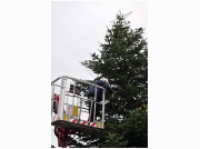 2016-11-24 12.48.04.JPG