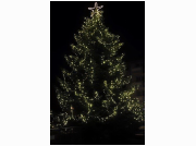 2016-12-11 08.09.25.JPG