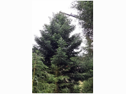 2016-11-23 14.18.41-2.JPG