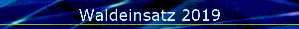 Waldeinsatz 2019