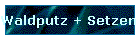 Waldputz + Setzen 2020