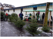 baumverkauf_2021_54.JPG