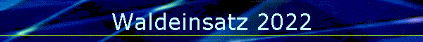 Waldeinsatz 2022
