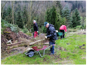 waldeinsatz_23007.jpg