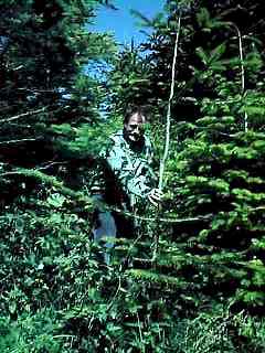 gejost01.jpg (17755 Byte)