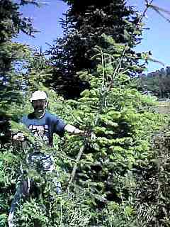 gejost02.jpg (18122 Byte)