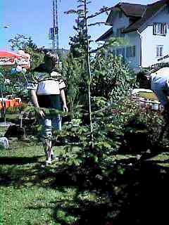 gejost07.jpg (14217 Byte)