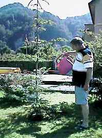 gejost08.jpg (12101 Byte)