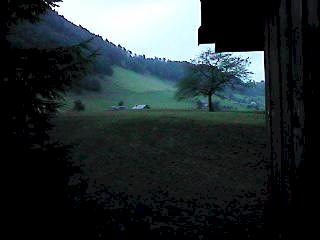 gril9910.jpg (9700 Byte)