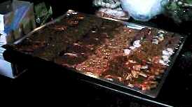 gril9915.jpg (7438 Byte)