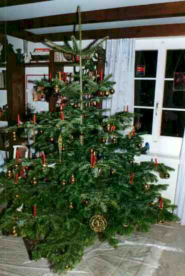 GV9807.jpg (22172 Byte)