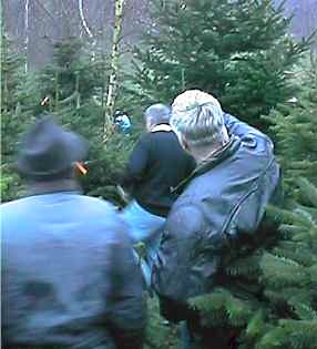 gv9903.jpg (12167 Byte)