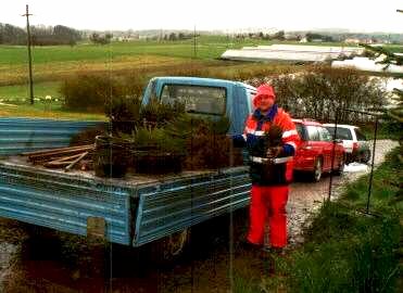 pflan981.jpg (17027 Byte)