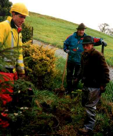 pflan982.jpg (18778 Byte)