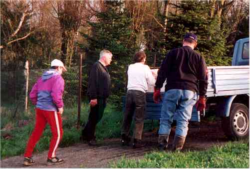 pflan991.jpg (22528 Byte)