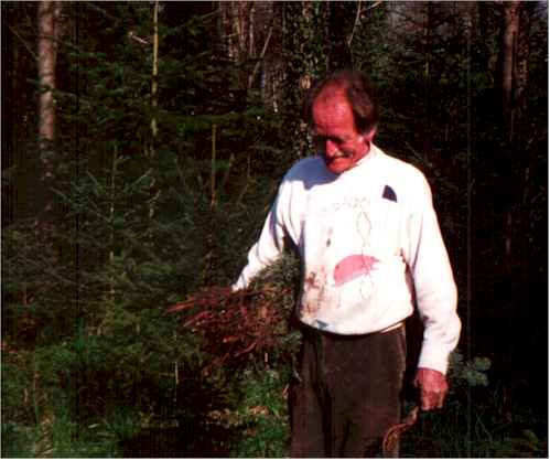 pflan993.jpg (22684 Byte)