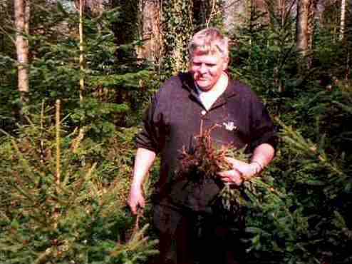 pflan994.jpg (21748 Byte)