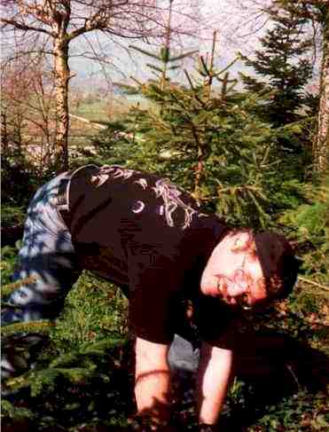 pflan996.jpg (23872 Byte)