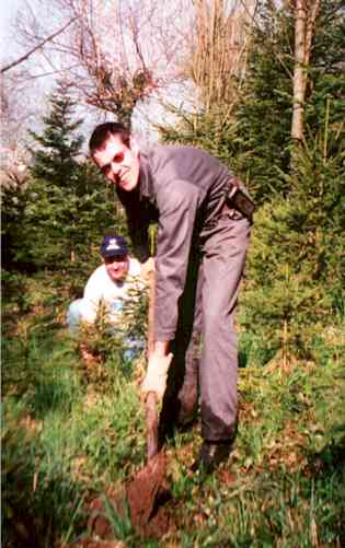 pflan997.jpg (23792 Byte)