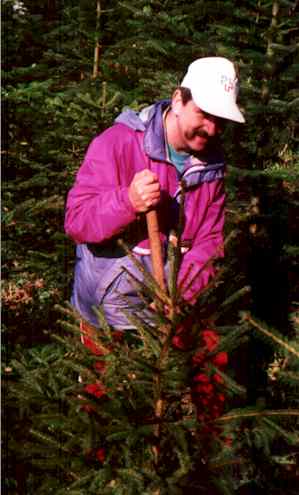 pflan998.jpg (18584 Byte)