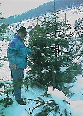 pflu9904.jpg (23550 Byte)