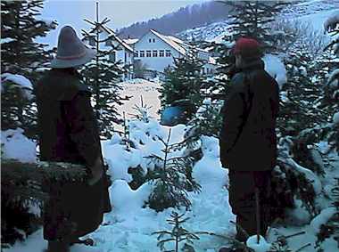 pflu9905.jpg (21152 Byte)