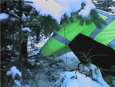 pflu9906.jpg (17465 Byte)