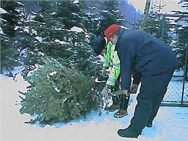 pflu9907.jpg (21403 Byte)