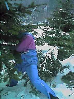 pflu9912.jpg (20526 Byte)