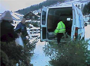 pflu9914.jpg (18140 Byte)