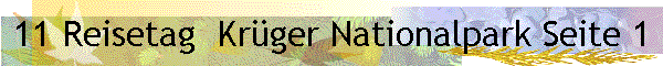 11 Reisetag  Kr�ger Nationalpark Seite 1