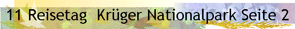 11 Reisetag  Kr�ger Nationalpark Seite 2