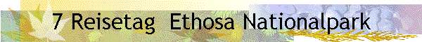 7 Reisetag  Ethosa Nationalpark