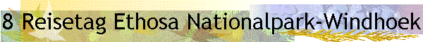 8 Reisetag Ethosa Nationalpark-Windhoek