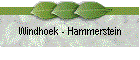 Windhoek - Hammerstein