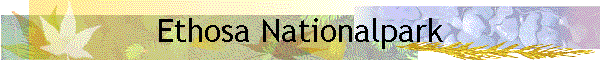 Ethosa Nationalpark