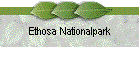 Ethosa Nationalpark
