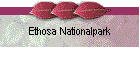 Ethosa Nationalpark