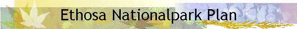 Ethosa Nationalpark Plan