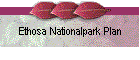Ethosa Nationalpark Plan