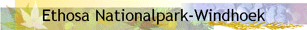 Ethosa Nationalpark-Windhoek