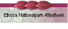 Ethosa Nationalpark-Windhoek