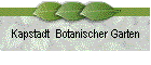 Kapstadt  Botanischer Garten