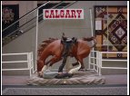 calgary 09.jpg
